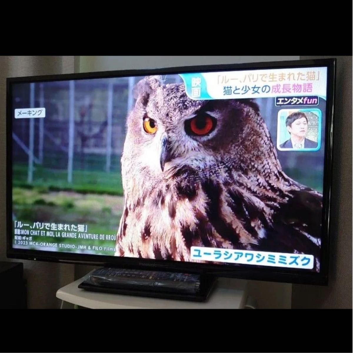 ジャンク Panasonic VIERA TH-49DX750 メイン基板 電源基板