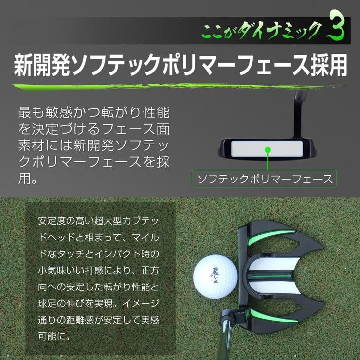 DYNAGOLF（ダイナゴルフ） ゴルフ クラブ メンズ パター マレット型 34